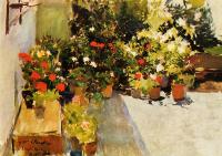 Joaquin Sorolla y Bastida - A Rooftop with Flowers